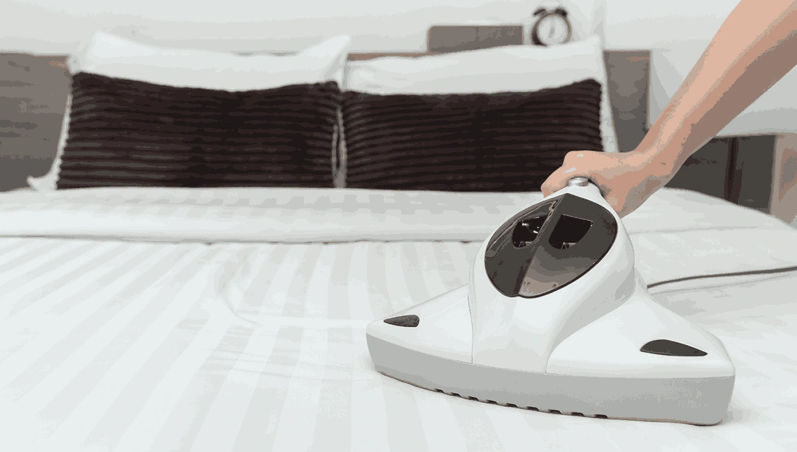 Professional Mattress Cleaning Ringwood